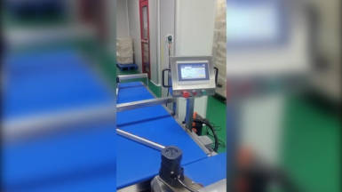 Envasadora Flow pack DXD-300 con motor servo